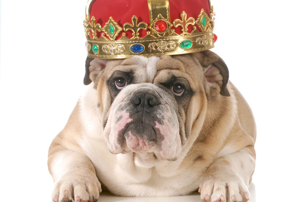 Thinking of Being Your Own Boss.jpg